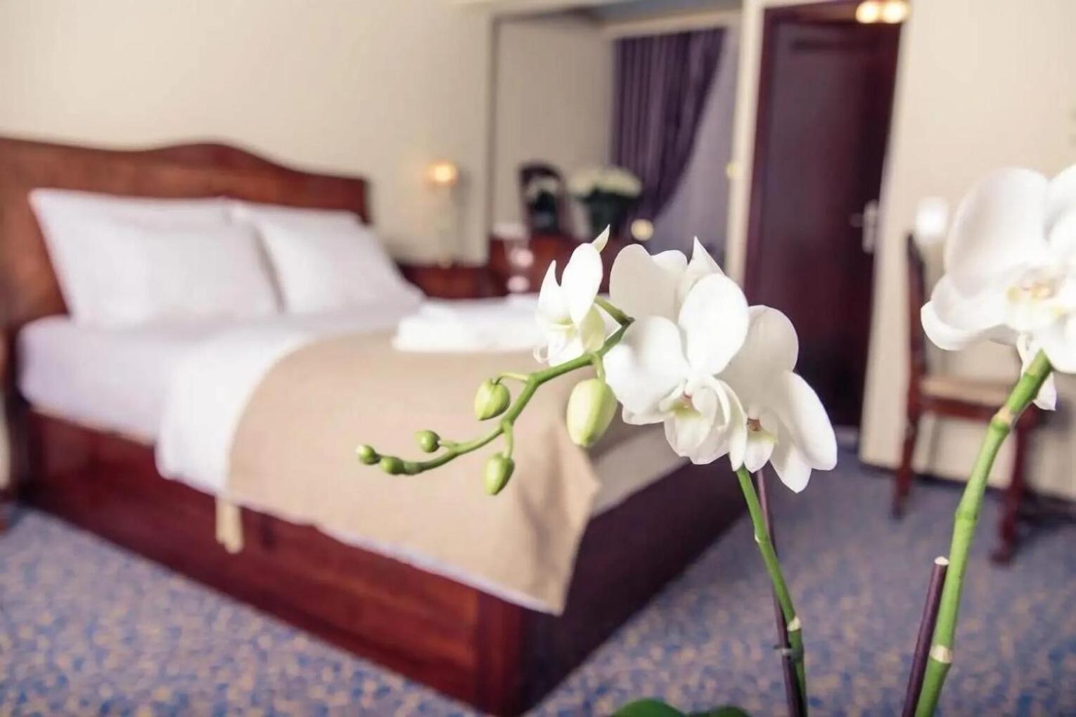 Hotel Stern لاوترباخ المظهر الخارجي الصورة